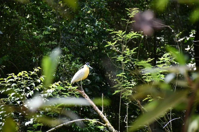 Arquivo Future Climate