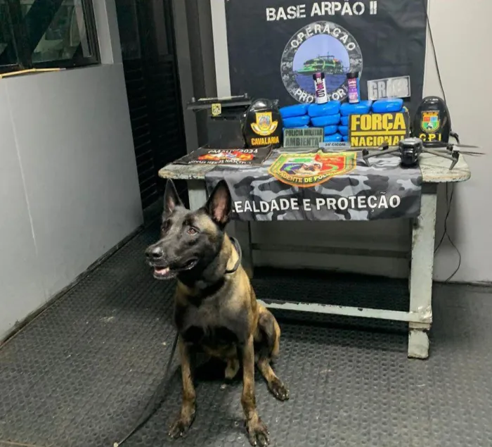 Fotos: Divulgação/SSP-AM