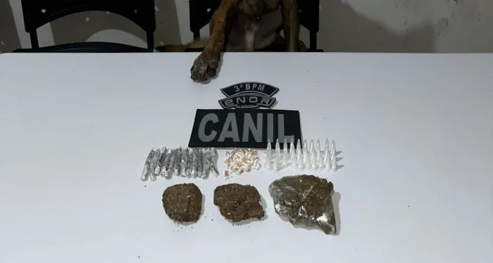 PM-AL apreende 33 armas e quase 14 quilos de drogas em uma semana