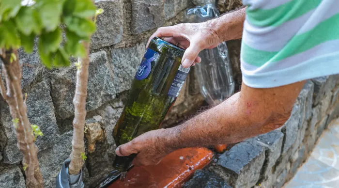 Período chuvoso acende alerta para cuidados com a proliferação do mosquito Aedes aegypti// Foto : Arthuro Paganini
