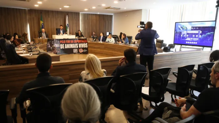 Audiência ocorreu no Auditório Legislativo, na manhã desta segunda-feira (13). - Créditos: Orlando Kissner/Alep