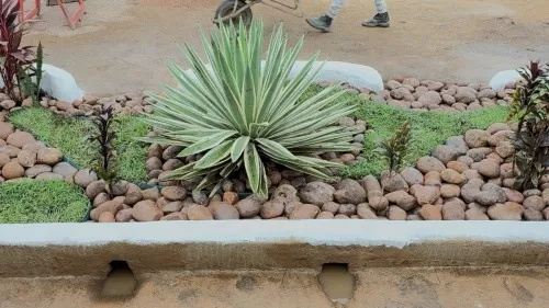 Foto: Reprodução/Prefeitura de Porto Velho - RO