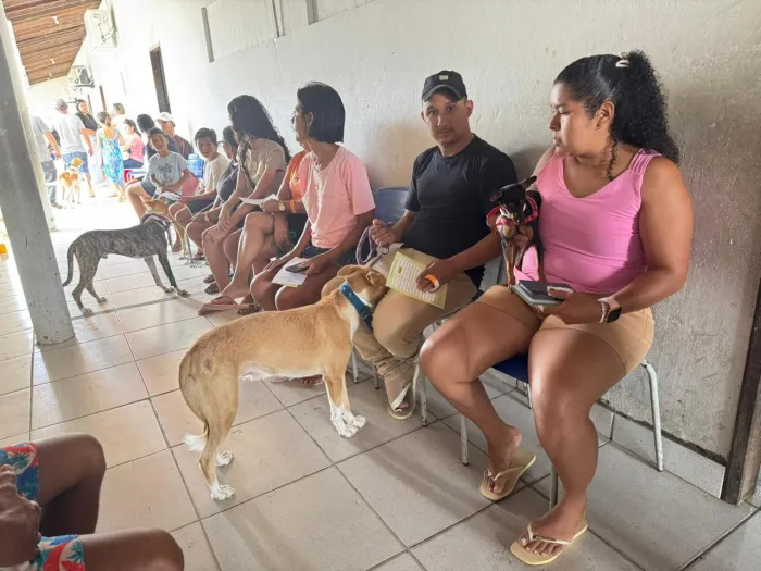 Governo intensifica cuidados com a saúde animal em Barreirinhas