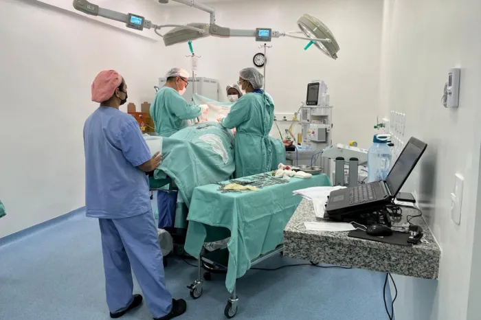 Divulgada lista de mulheres que avançam para nova etapa do programa de cirurgias de gigantomastia extrema