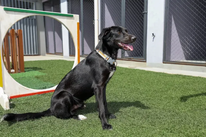 Foto: Bruno Cruz / Ag. Pará