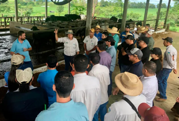 O Consultec-Leite tem se consolidado como uma das principais iniciativas de apoio à pecuária leiteira no estado