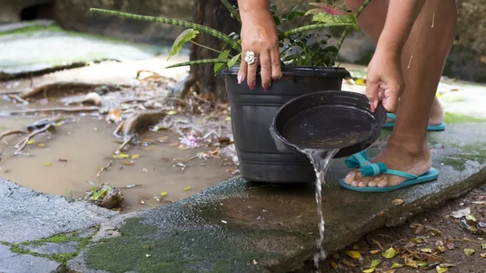 Minas divulga primeiro levantamento de infestação do Aedes aegypti em 2026 e reforça prevenção