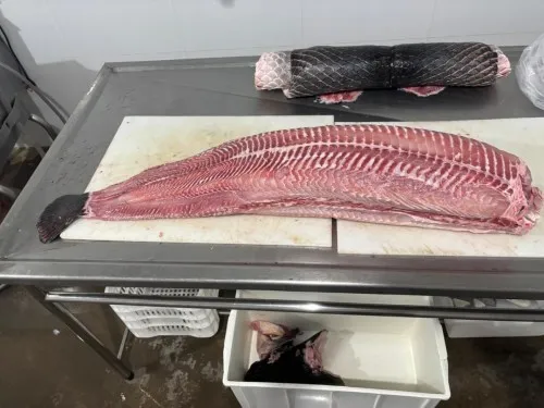 Regularização abre portas para agroindústrias no município