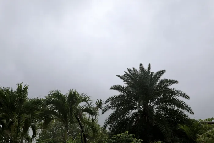 Foto: Matheus Lemos/Sema