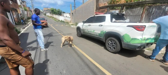 Em nova reestruturação, SUPPA passa a se chamar SPDA em Lauro de Freitas