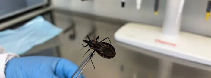 Funed fortalece a vigilância em saúde no Dia Mundial da Doença de Chagas