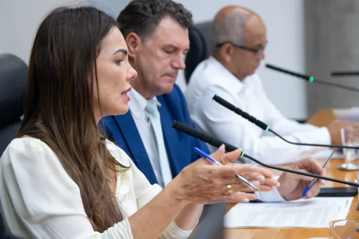 Foto: Rinaldo Morelli/ Agência CLDF