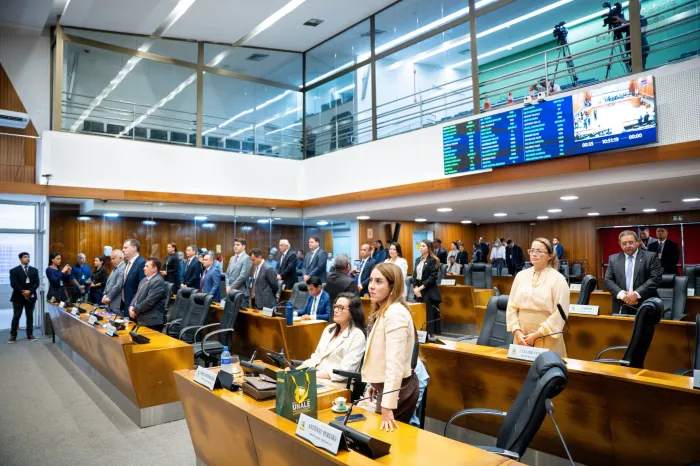 Deputados prestam homenagem póstuma a Débora Santiago, durante sessão plenária
