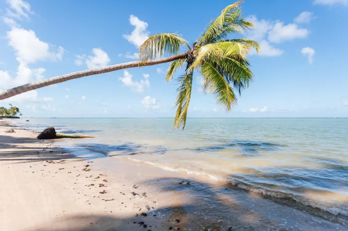 Na categoria Praia do Nordeste, Alagoas é finalista com a Praia do Patacho, em Porto de Pedras - Lucas Meneses / Ascom Setur