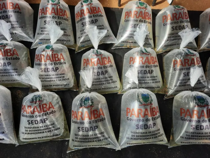 Governo da Paraíba distribui quase meio milhão de alevinos neste mês
