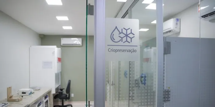 Foto: Reprodução/Secom Goiás