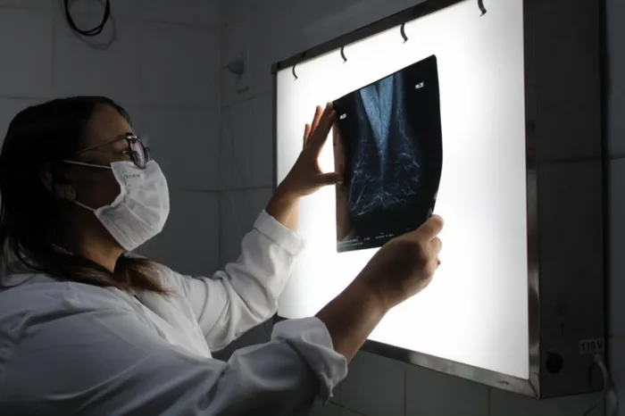 Fotos: Fátima Brandão - Arquivo