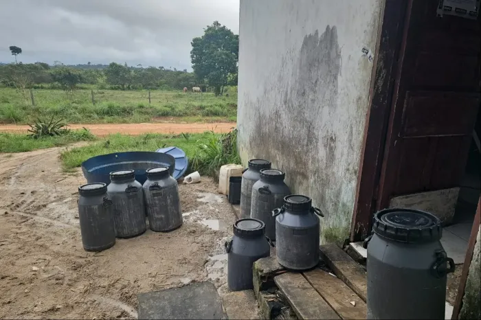 Adepará interdita queijarias clandestinas em Breu Branco e Goianésia do Pará