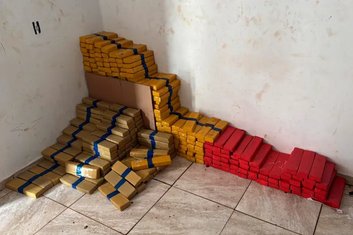 Maior apreensão do ano: PCPR encontra 4,1 toneladas de maconha em Foz do Iguaçu