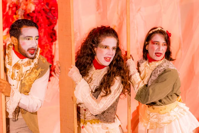 Grupo de Teatro Científico leva peça para Instituto Carlos Chagas em Curitiba