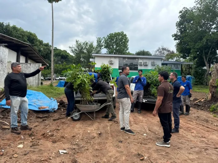A produção é destinada à projetos de recuperação ambiental, iniciativas de educação ambiental e ações de parceiros institucionais e comunitários