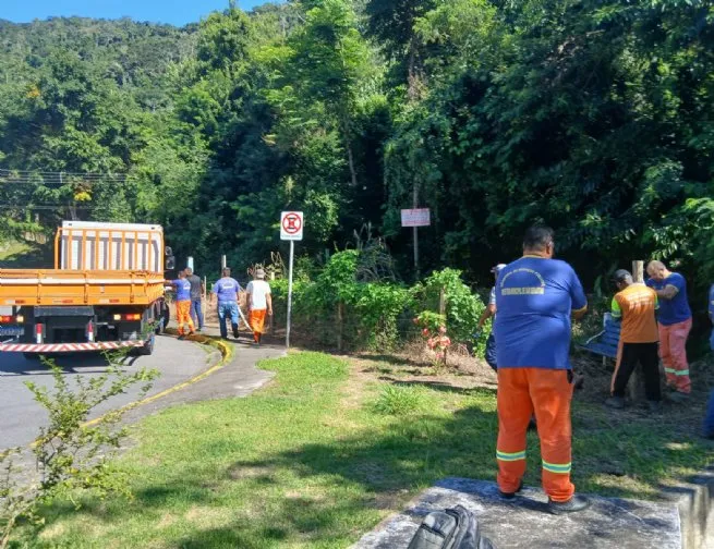 Prefeitura combate desmatamento e apreende materiais de construção em ação integrada na Costa Norte