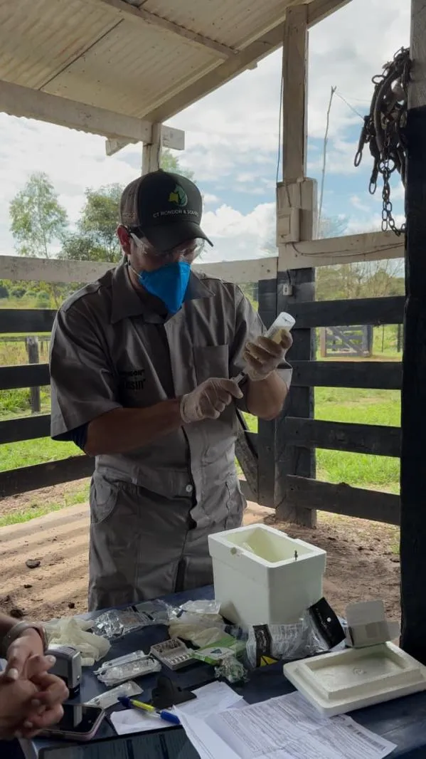 Foto: Reprodução/Prefeitura de Sorriso - MT