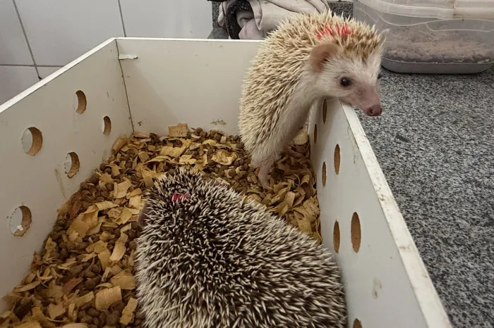 Foto: Reprodução/Prefeitura de Vitória da Conquista - BA