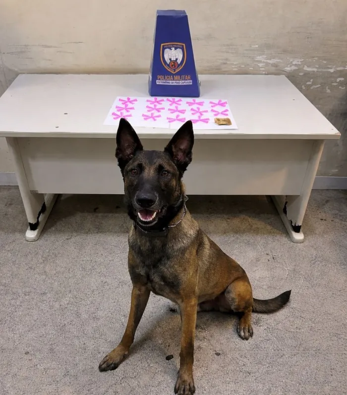 Polícia Militar realiza apreensões de drogas, arma de fogo e cumpre mandados em Guarapari