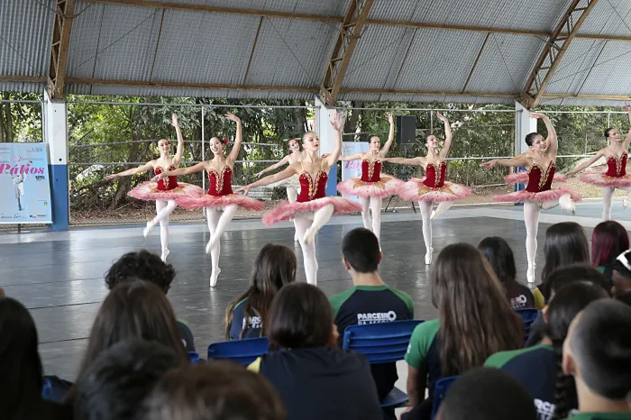 Guaíra para todos: Escola de Dança Teatro Guaíra se apresenta em escola de Curitiba