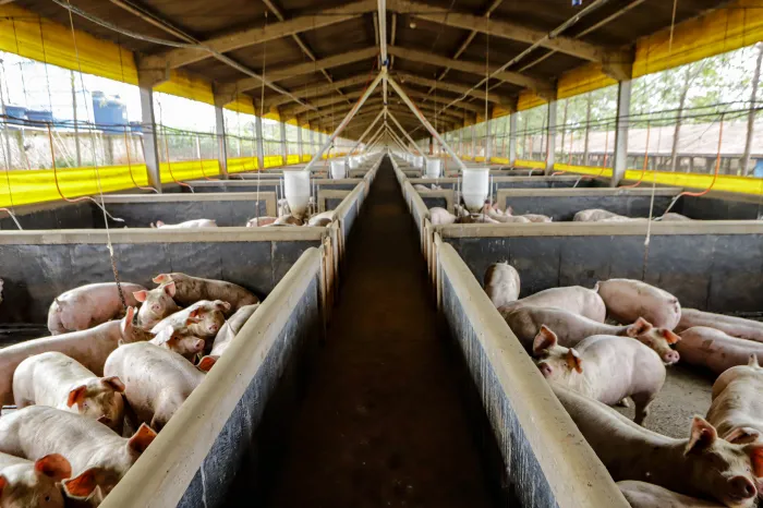 Foto: Reprodução/Secom Paraná