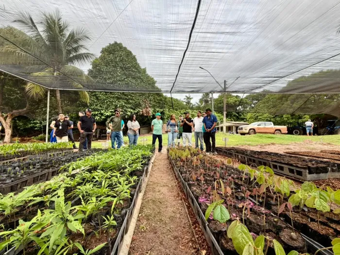 Foto: Vinícius Leal (Ascom/Ideflor-Bio)