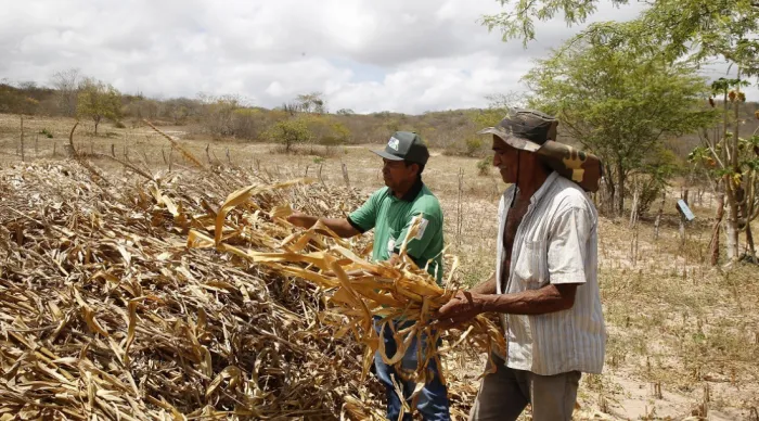 Mais seis municípios sergipanos receberão Garantia-Safra