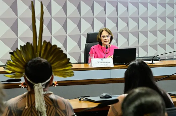O debate foi conduzido pela presidente da CDH, senadora Damares Alves - Foto: Geraldo Magela/Agência Senado