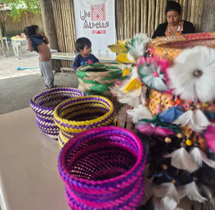 Udesc desenvolve atividades de extensão universitária em aldeias indígenas