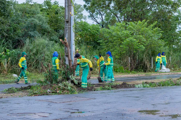 Crédito: Francinei Marans
