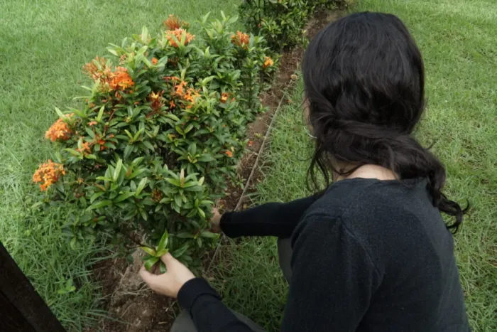 A qualificação dos profissionais da saúde é fundamental para garantir um atendimento mais eficiente à população exposta ao risco