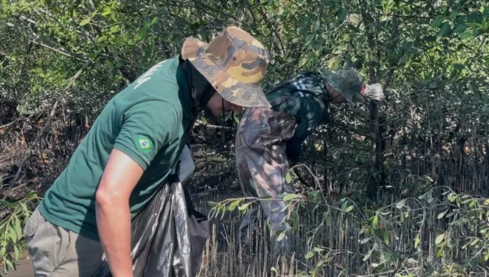 Principal hipótese é que sua introdução tenha ocorrido por meio da água de lastro de navios, especialmente devido à proximidade com áreas portuárias. Foto: Divulgação/Governo de SP.