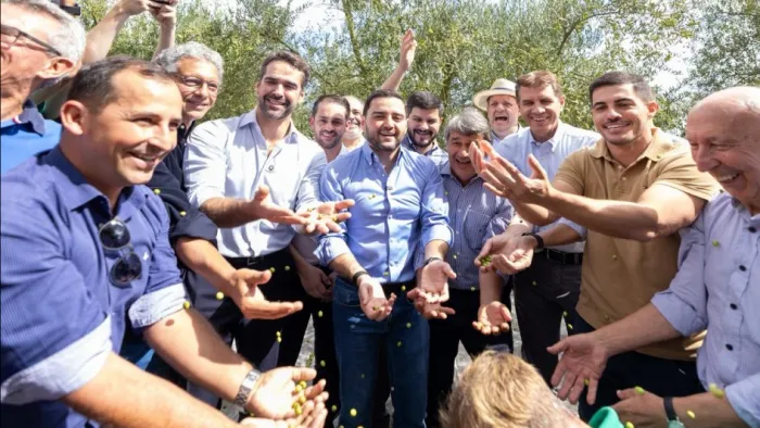 Rio Grande do Sul lidera a produção nacional com cerca de 6,5 mil hectares cultivados em mais de cem municípios -Foto: Maurício Tonetto/Secom