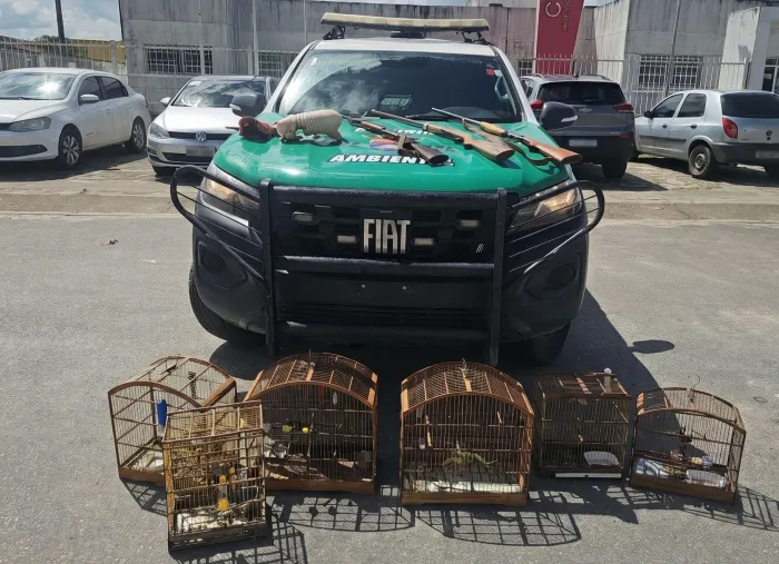 PM constatou a presença de aves silvestres em gaiolas na área externa de uma residência - Ascom PM