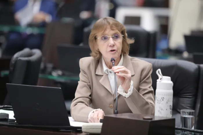 Deputada Luciana Rafagnin (PT) falou do impacto do aumento para os paranaenses. - Créditos: Alep