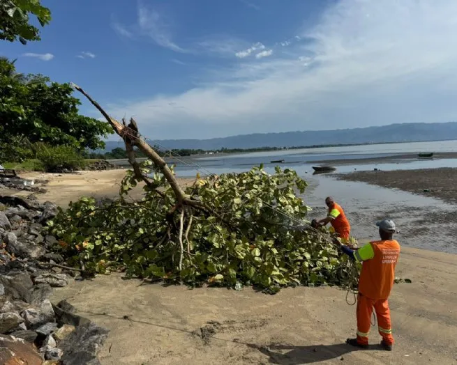 Foto: Reprodução/Prefeitura de São Sebastião - SP