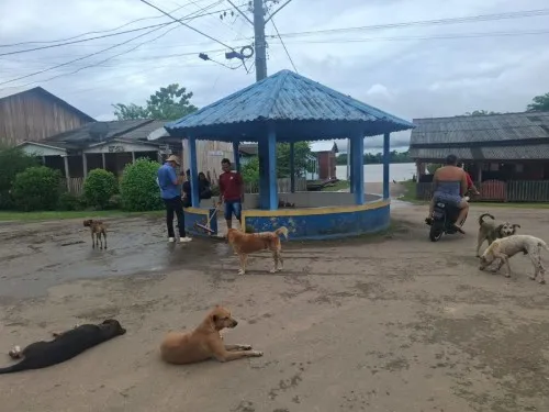 Foto: Reprodução/Prefeitura de Porto Velho - RO
