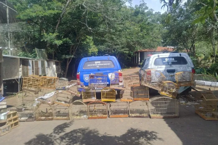 Foto: Reprodução/Prefeitura de Vitória da Conquista - BA