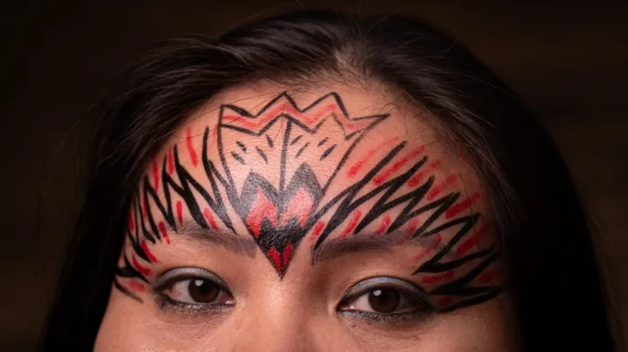 Foto: Reprodução/Secom Acre