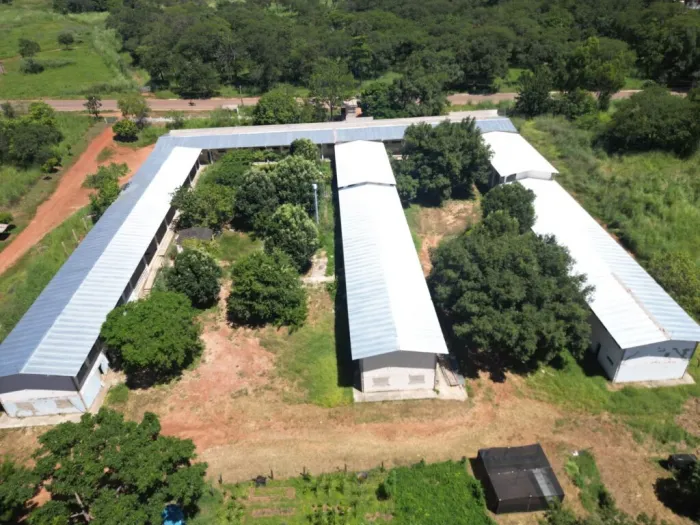 Governo investe R$ 5,8 milhões na Uespi de Corrente com ampliação da estrutura e reforço no quadro de professores