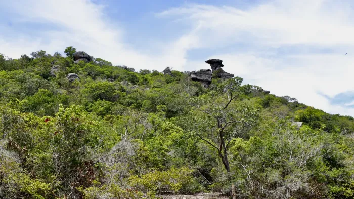 Foto: Bruno Cruz - Ag. Pará