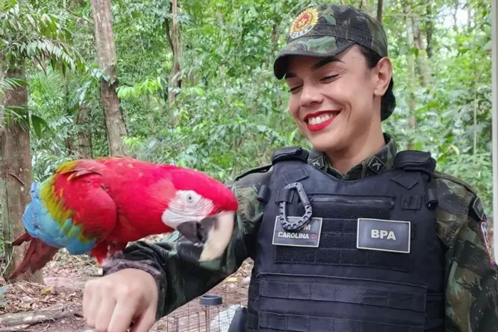 Governo do Pará orienta população sobre como agir ao encontrar animais silvestres em áreas urbanas