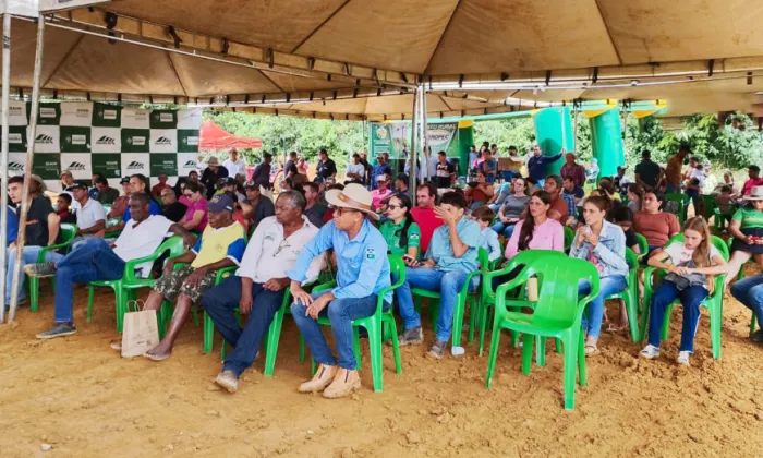 O 11º Dia de Campo sobre Café Tecnificado aconteceu em Machadinho d’Oeste, e reuniu mais de 200 produtores, reforçando o protagonismo de Rondônia na cafeicultura
