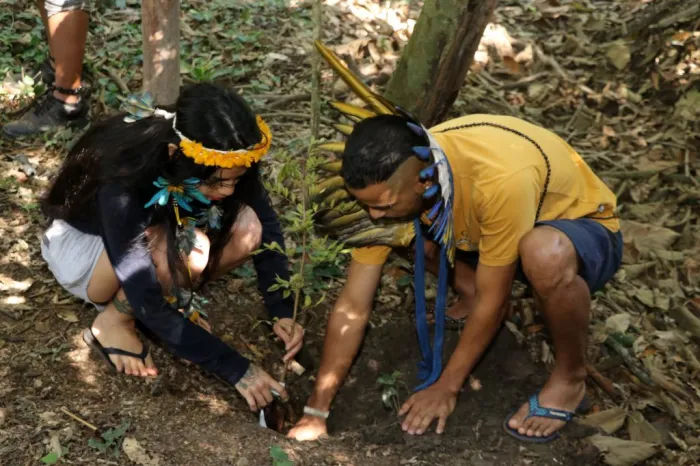 Povos Indígenas: conheça o Projeto Guardiões da Floresta